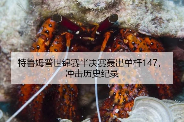 特鲁姆普世锦赛半决赛轰出单杆147，冲击历史纪录