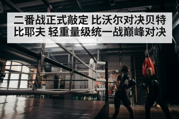 boxer training