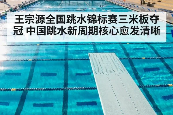 王宗源全国跳水锦标赛三米板夺冠 中国跳水新周期核心愈发清晰